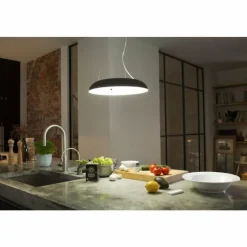 Luminaires Philips Suspension Philips Hue Amaze LED Noir, 1 lumière, Télécommandes
