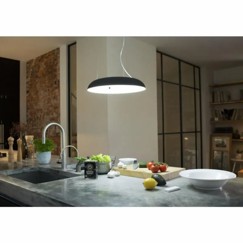 Luminaires Philips Suspension Philips Hue Amaze LED Noir, 1 lumière, Télécommandes