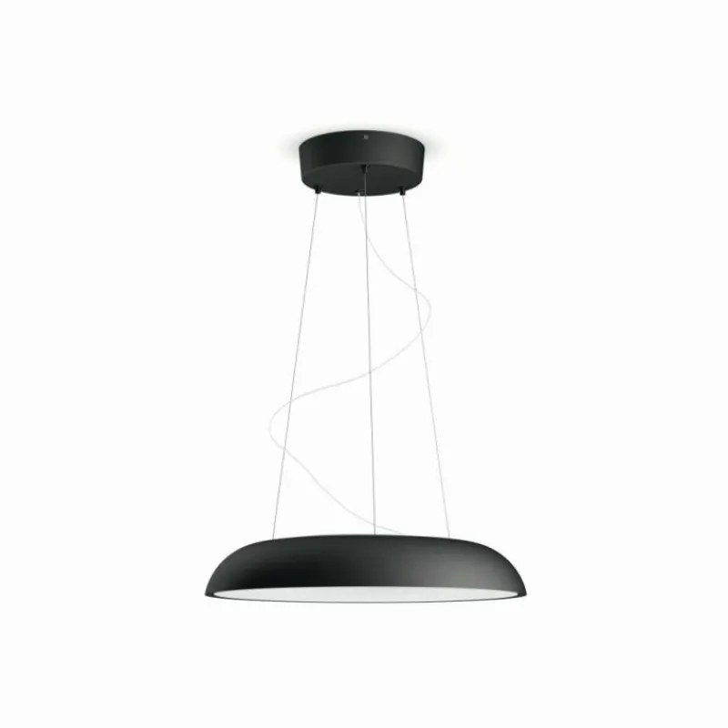 Luminaires Philips Suspension Philips Hue Amaze LED Noir, 1 lumière, Télécommandes