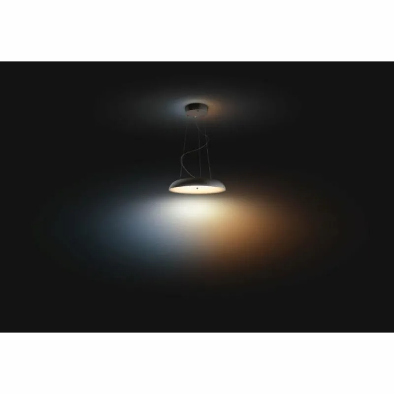 Luminaires Philips Suspension Philips Hue Amaze LED Noir, 1 lumière, Télécommandes