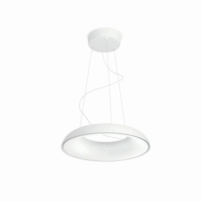 Luminaires Philips Suspension Philips Hue Amaze LED Blanc, 1 lumière, Télécommandes