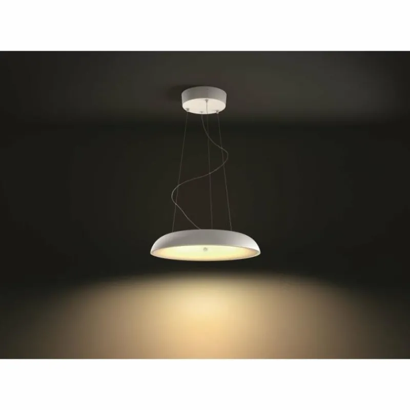 Luminaires Philips Suspension Philips Hue Amaze LED Blanc, 1 lumière, Télécommandes