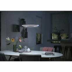 Luminaires Philips Suspension Philips Hue Being LED Noir, 1 lumière, Télécommandes