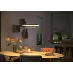 Luminaires Philips Suspension Philips Hue Being LED Noir, 1 lumière, Télécommandes