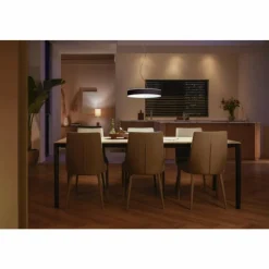 Luminaires Philips Suspension Philips Hue Enrave LED Noir, 1 lumière, Télécommandes