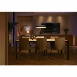 Luminaires Philips Suspension Philips Hue Enrave LED Noir, 1 lumière, Télécommandes