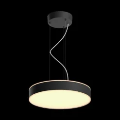 Luminaires Philips Suspension Philips Hue Enrave LED Noir, 1 lumière, Télécommandes