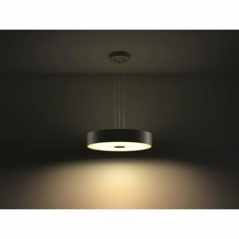 Luminaires Philips Suspension Philips Hue Fair LED Noir, 1 lumière, Télécommandes