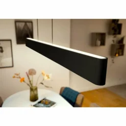 Luminaires Philips Suspension Philips Hue White & Color Ambiance Ensis LED Noir, 2 lumières, Changeur de couleurs