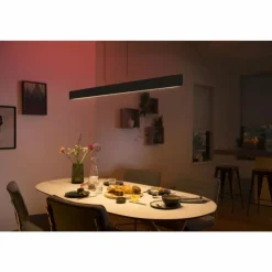 Luminaires Philips Suspension Philips Hue White & Color Ambiance Ensis LED Noir, 2 lumières, Changeur de couleurs