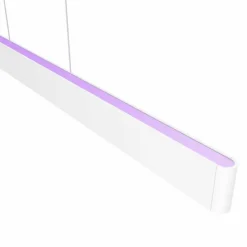 Luminaires Philips Suspension Philips Hue White & Colour Ambiance Ensis LED Blanc, 2 lumières, Changeur de couleurs