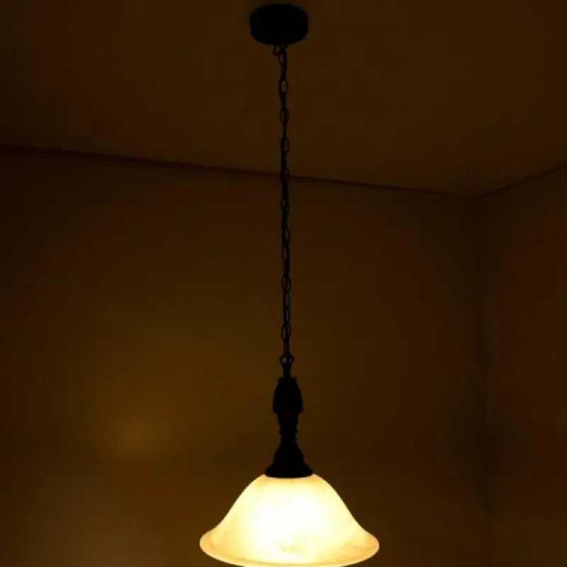 Luminaires Reality Suspension Reality Brun, Rouille, Blanc, 1 lumière