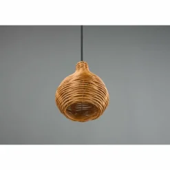 Luminaires Reality Suspension Reality Sprout Noir, 1 lumière* Suspensions