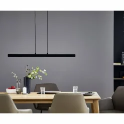 SCHÖNER WOHNEN-Kollektion Suspension STRIPE LED Noir, 1 lumière* Éclairage Led