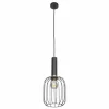 Lampes Dorées-Luminaires Steinhauer Suspension Steinhauer Aureole Noir, 1 lumière