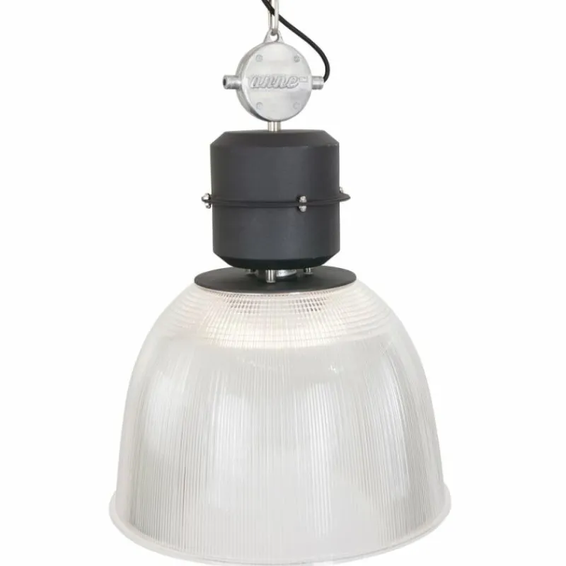 Lampes Industrielles-Luminaires Steinhauer Suspension Steinhauer Clearvoyant Transparent, 1 lumière