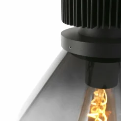 Suspension Verre Fumé-Luminaires Steinhauer Suspension Steinhauer Flere Gris, Noir, 1 lumière