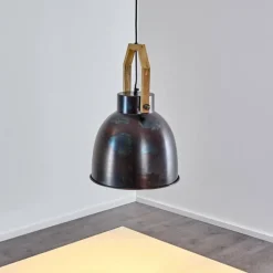 Luminaires Rustiques-hofstein Suspension Svanfolk Acier brossé, 1 lumière