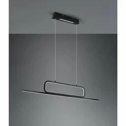 Luminaires Trio Suspension Trio Aick LED Noir, 1 lumière* Suspensions