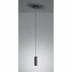 Luminaires Trio Suspension Trio Leuchten MARLEY Noir, 1 lumière* Suspensions