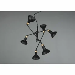 Luminaires Trio Suspension Trio Roxie Laiton, Noir, 6 lumières* Suspensions