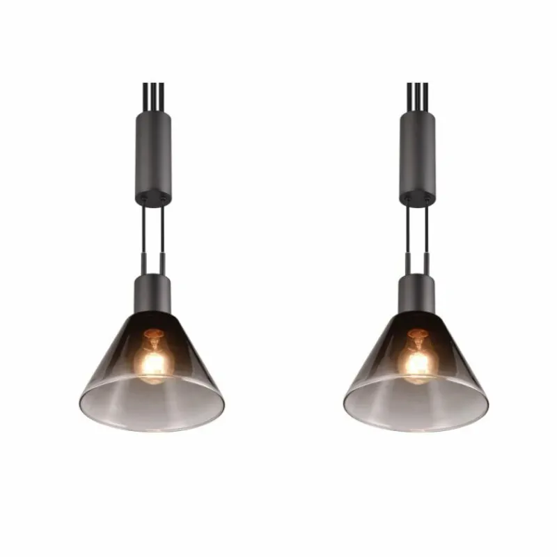 Suspension Verre Fumé-Luminaires Trio Suspension Trio STANLEY Noir, 2 lumières