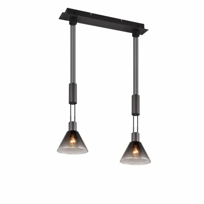 Suspension Verre Fumé-Luminaires Trio Suspension Trio STANLEY Noir, 2 lumières