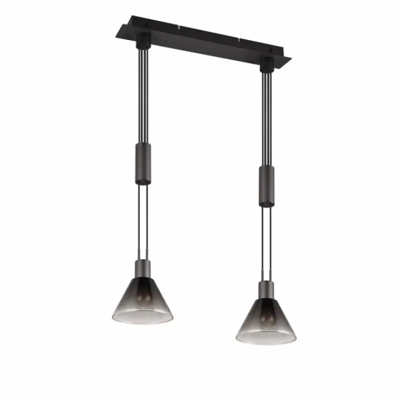 Suspension Verre Fumé-Luminaires Trio Suspension Trio STANLEY Noir, 2 lumières