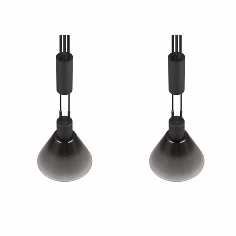 Suspension Verre Fumé-Luminaires Trio Suspension Trio STANLEY Noir, 2 lumières