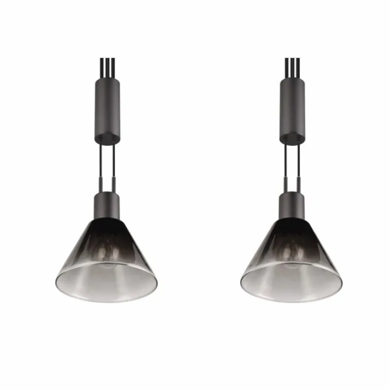 Suspension Verre Fumé-Luminaires Trio Suspension Trio STANLEY Noir, 2 lumières