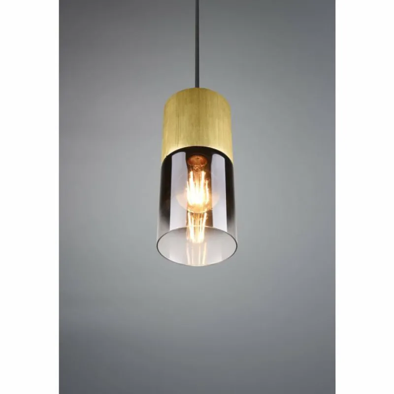 Suspension Verre Fumé-Luminaires Trio Suspension Trio-Leuchten Robin Laiton, 1 lumière