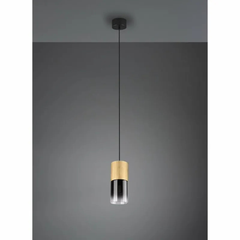 Suspension Verre Fumé-Luminaires Trio Suspension Trio-Leuchten Robin Laiton, 1 lumière