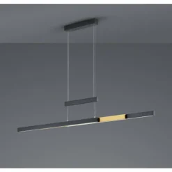 Luminaires Trio Suspension Trio-Leuchten Trajan LED Noir, 1 lumière* Éclairage Led