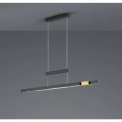 Luminaires Trio Suspension Trio-Leuchten Trajan LED Noir, 1 lumière* Éclairage Led