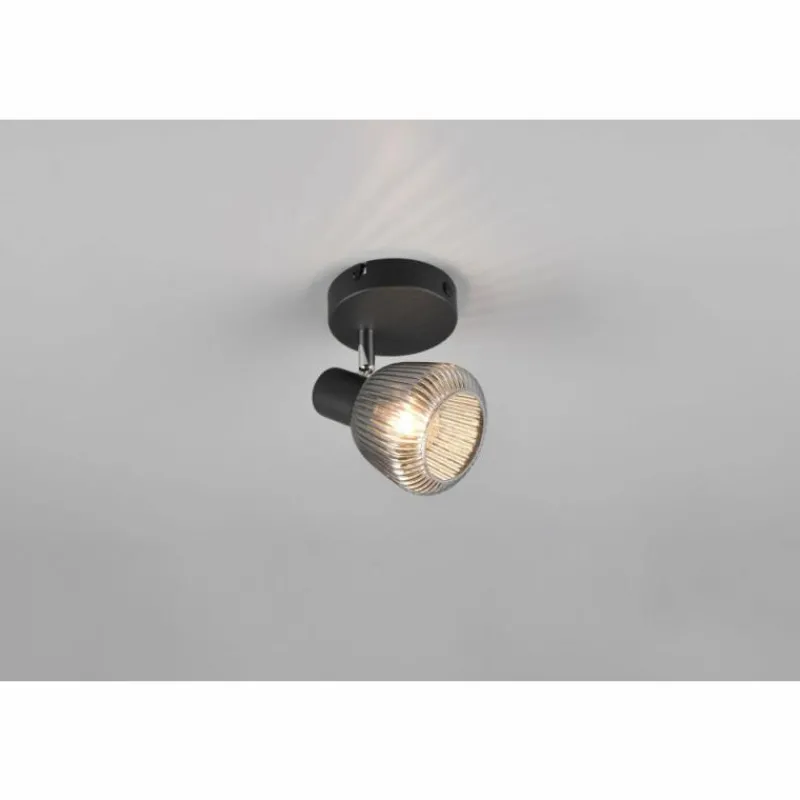 Suspension Verre Fumé-Luminaires Trio Tarifa Spot de plafond Noir, 1 lumière