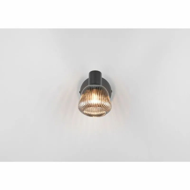 Suspension Verre Fumé-Luminaires Trio Tarifa Spot de plafond Noir, 1 lumière