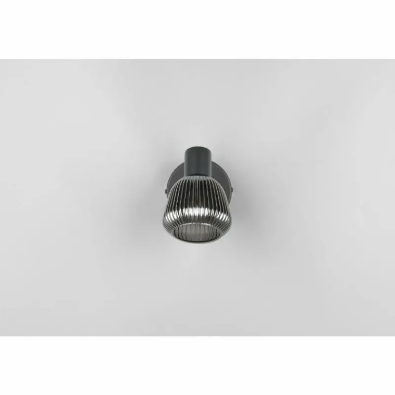 Suspension Verre Fumé-Luminaires Trio Tarifa Spot de plafond Noir, 1 lumière