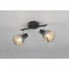 Suspension Verre Fumé-Luminaires Trio Tarifa Spot de plafond Noir, 2 lumières