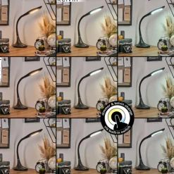 hofstein Toggerbo Lampe de bureau, Lampe à poser, Liseuse LED Noir, 1 lumière