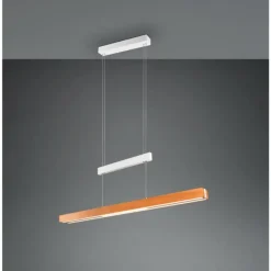 Lampes En Bois-Luminaires Trio Trajan Suspension LED Blanc, 1 lumière