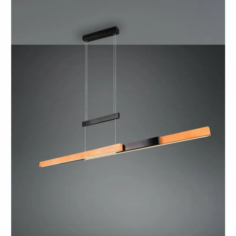 Lampes En Bois-Luminaires Trio Trajan Suspension LED Noir, 1 lumière