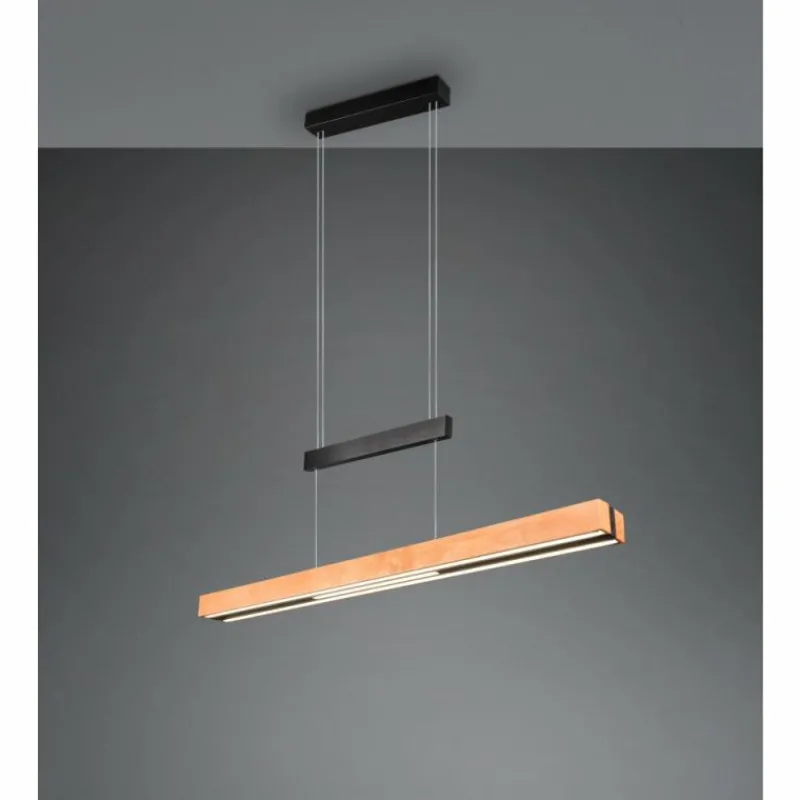 Lampes En Bois-Luminaires Trio Trajan Suspension LED Noir, 1 lumière