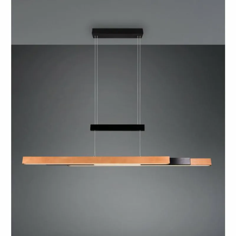 Lampes En Bois-Luminaires Trio Trajan Suspension LED Noir, 1 lumière