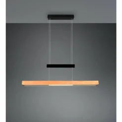 Lampes En Bois-Luminaires Trio Trajan Suspension LED Noir, 1 lumière