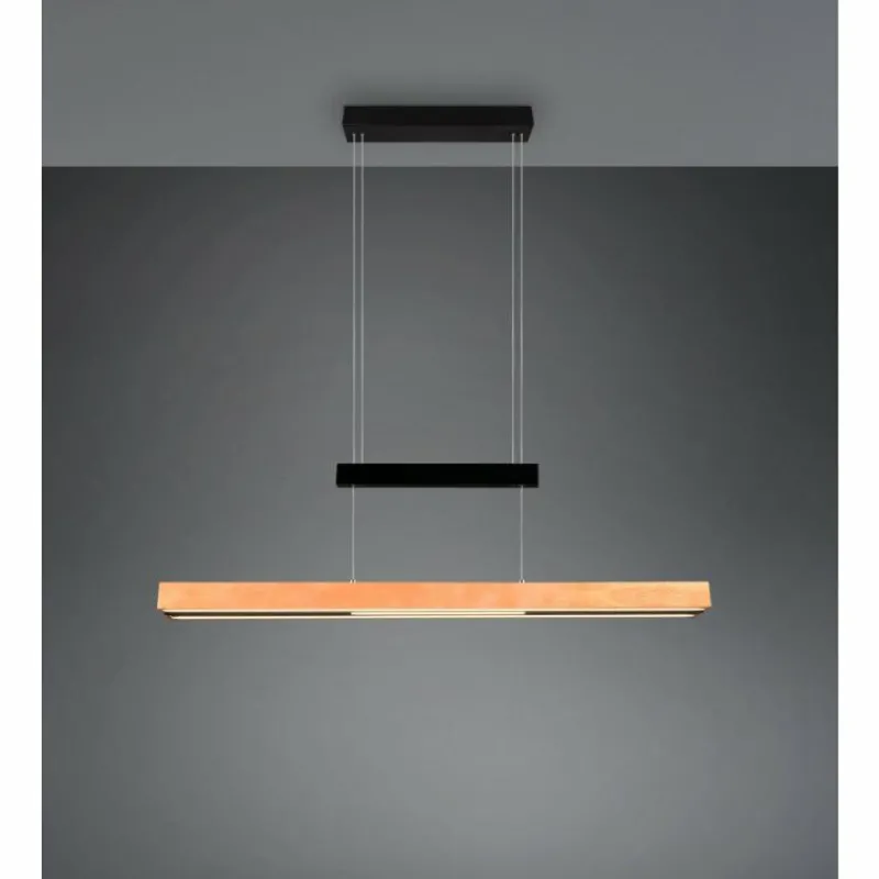Lampes En Bois-Luminaires Trio Trajan Suspension LED Noir, 1 lumière
