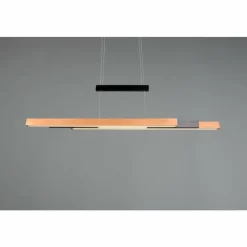 Lampes En Bois-Luminaires Trio Trajan Suspension LED Noir, 1 lumière