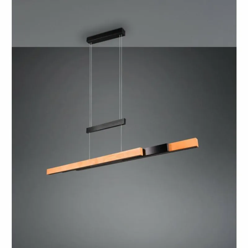 Lampes En Bois-Luminaires Trio Trajan Suspension LED Noir, 1 lumière