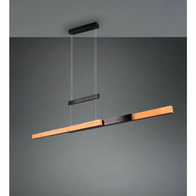 Lampes En Bois-Luminaires Trio Trajan Suspension LED Noir, 1 lumière
