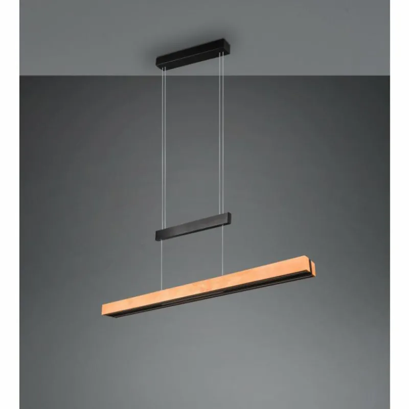 Lampes En Bois-Luminaires Trio Trajan Suspension LED Noir, 1 lumière