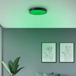 Luminaires Brilliant Vadin Plafonnier LED Noir, 1 lumière, Télécommandes